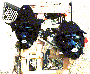 Blues Brothers